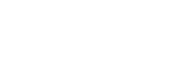 salt project swing sheep