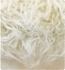 Long Hair 写真3